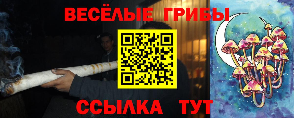 Псилоцибиновые грибы Psilocybe  Вход с VPN  Сердобск  Галлюциногенные грибы GOLDEN TEACHER 